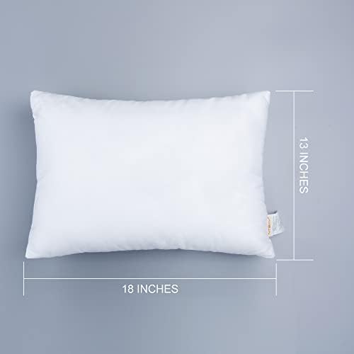 NTBAY 2 Pack Cotton Down Alternative 13x18 Travel Pillows for Kids