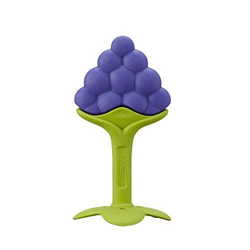 Innobaby Award Winning Teethin Smart EZ Grip Fruit Teether