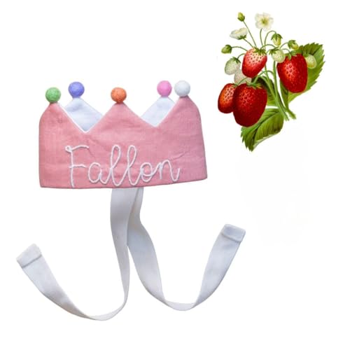 Handmade Baby Birthday Crown with Embroidered Name