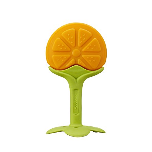 Innobaby Award Winning Teethin Smart EZ Grip Fruit Teether