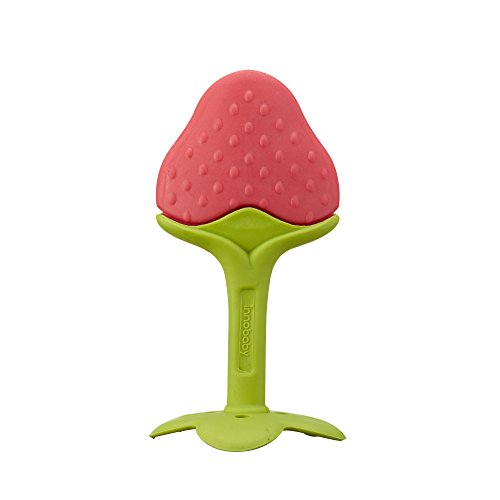 Innobaby Award Winning Teethin Smart EZ Grip Fruit Teether