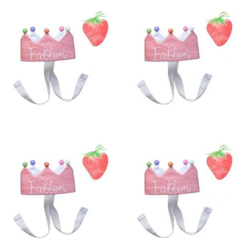 Personalized Baby Birthday Crown with Embroidered Name 1