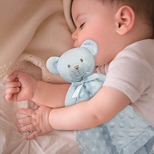 Pro Goleem 16 Inch Soft Blue Teddy Bear Lovey Blanket