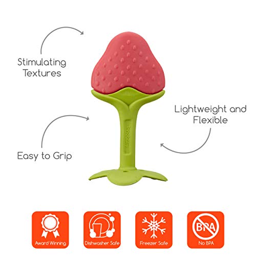 Innobaby Award Winning Teethin Smart EZ Grip Fruit Teether