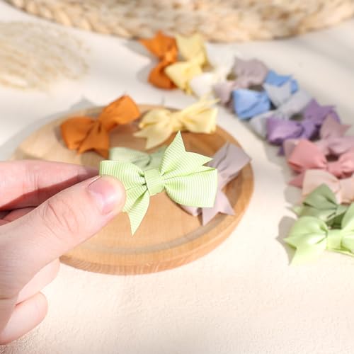 24PCS Oaoleer 2 Inch Toddler Hair Clips