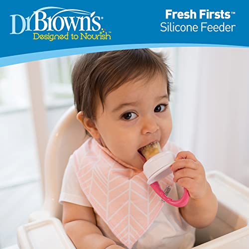 Dr Browns Fresh First Silicone Feeder Mint Grey 2 Pack