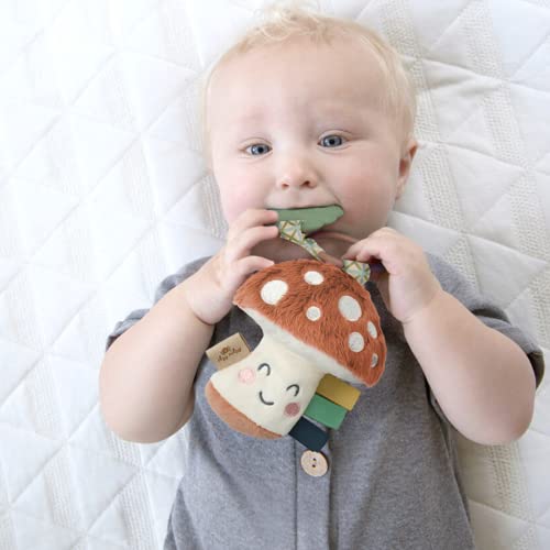 Itzy Ritzy Baby Teether with Crinkle Toy and Lovey