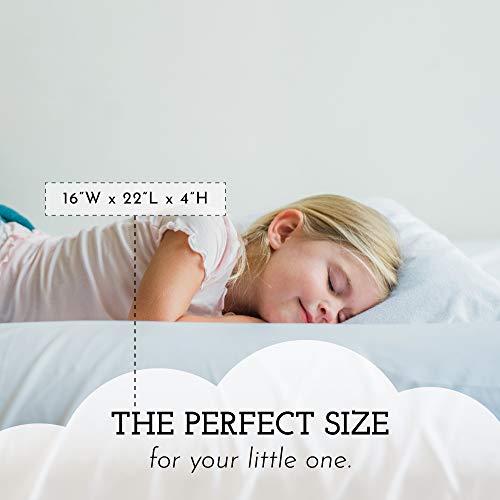 Little Sleepy Head Youth Pillow 16x22 Soft Hypoallergenic