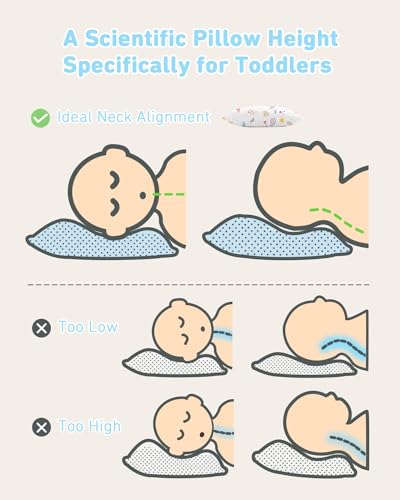 Babebay Toddler Pillow 13x18 with Cotton Cover