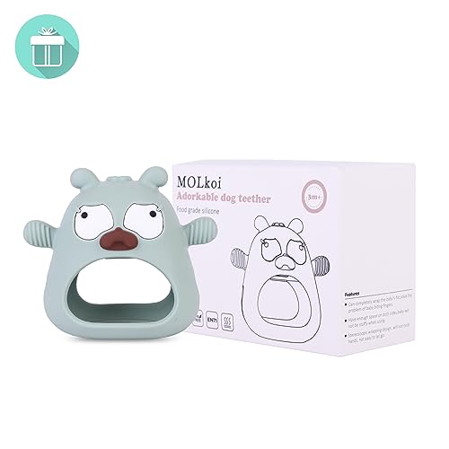 MOLkoi Baby Teething Toy with Pacifier Design