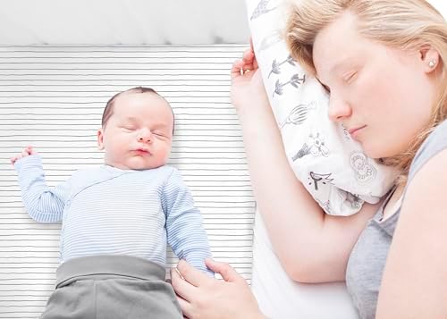 Cambria Baby Organic Cotton Bassinet Sheets 2 Pack