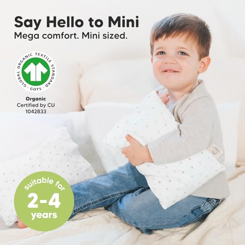 Mini Toddler Pillow with Organic Cotton Pillowcase - 9x13 Acorn