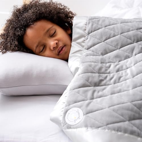 Dreamland Baby Toddler Pillow with Viscose Case