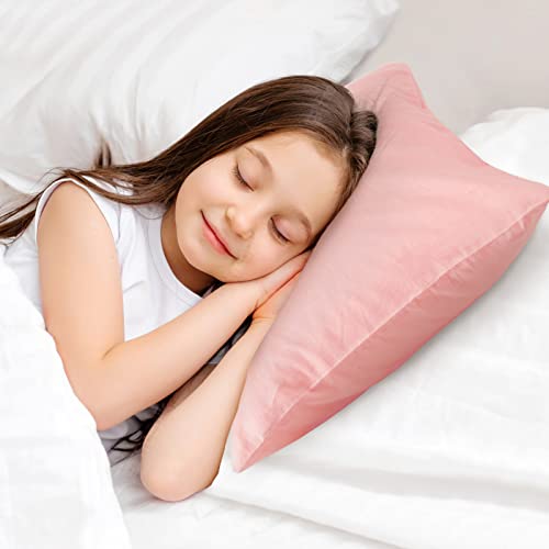 Babebay Toddler Pillow - 13X18 Soft Pink Sleep Pillow for Kids