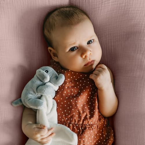 LYRICHOM Muslin Bassinet Sheets 2 Pack Pink Cloud