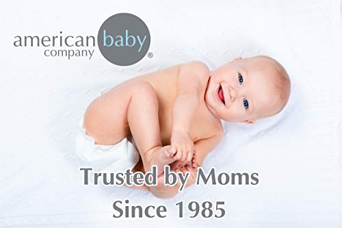American Baby Company Waterproof Mini Crib Mattress Protector 38 x 24