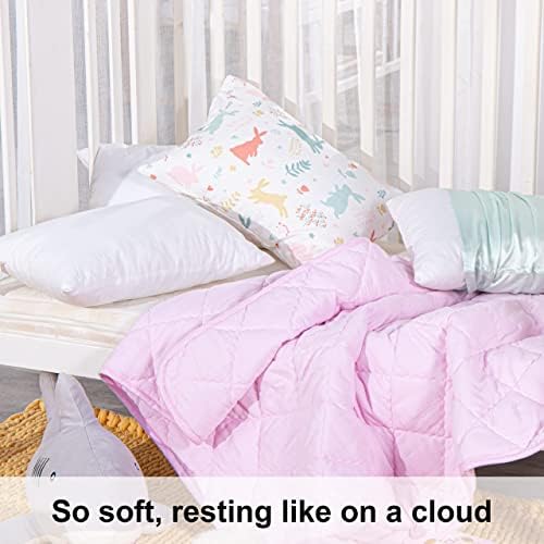 NTBAY 2 Pack Cotton Down Alternative 13x18 Travel Pillows for Kids