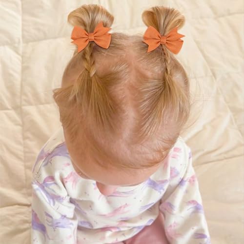 24PCS Oaoleer 2 Inch Toddler Hair Clips