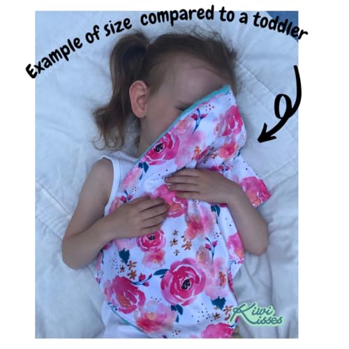 KiwiKisses Sloth Lovey Security Blanket for Baby Toddler