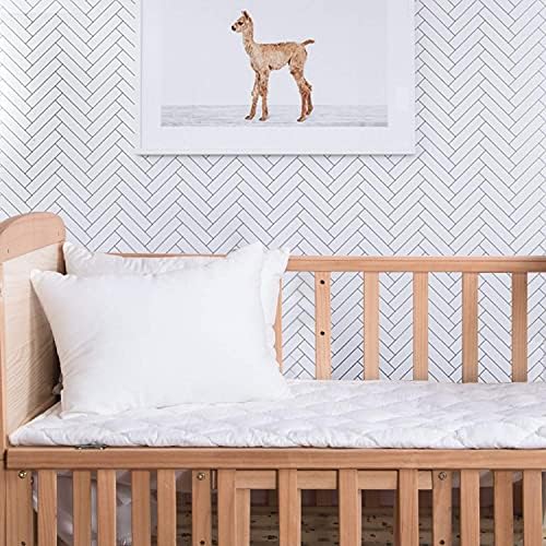 FLXXIE 2 Pack Small Cotton Down Alternative Pillows