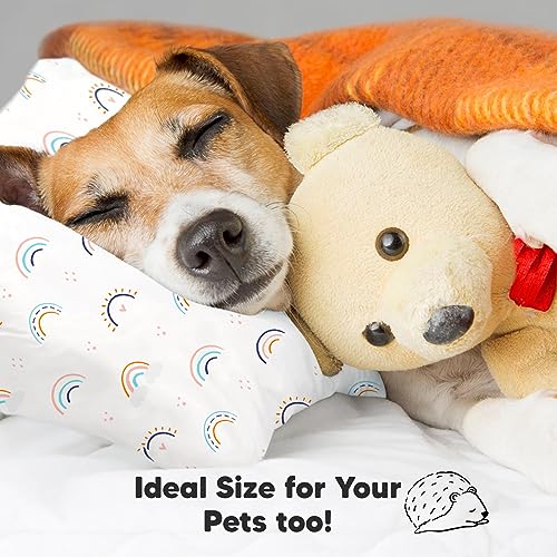 KeaBabies Jumbo Toddler Pillow with Case - Jolly Rainbow Design