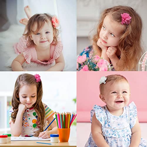 DED 40PCS 2 Chiffon Flower Hair Clips for Baby Girls