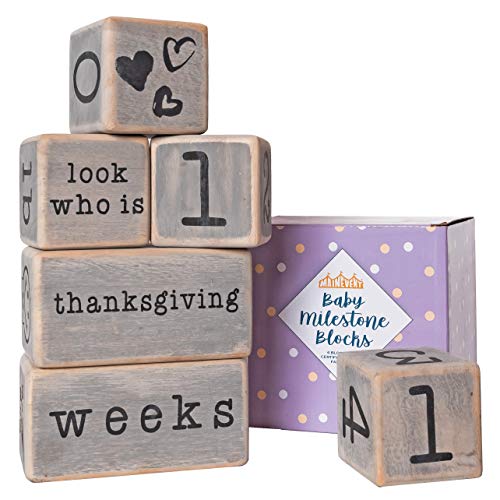 Rustic Baby Monthly Milestone Blocks Set