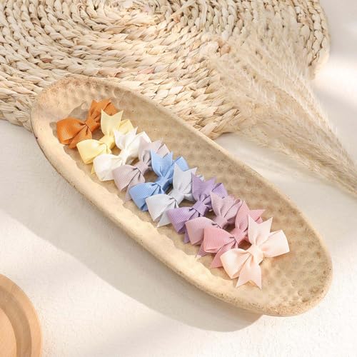 24PCS Oaoleer 2 Inch Toddler Hair Clips