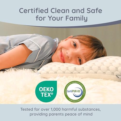 Lussi Company Toddler Pillow 2-13x19 Adjustable