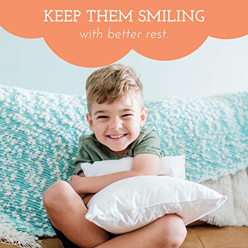 Little Sleepy Head Youth Pillow 16x22 Soft Hypoallergenic
