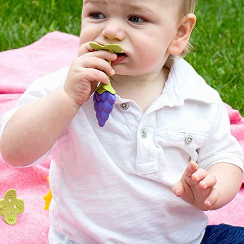 Innobaby Award Winning Teethin Smart EZ Grip Fruit Teether