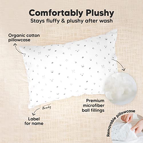 Mini Toddler Pillow with Organic Cotton Pillowcase - 9x13 Acorn