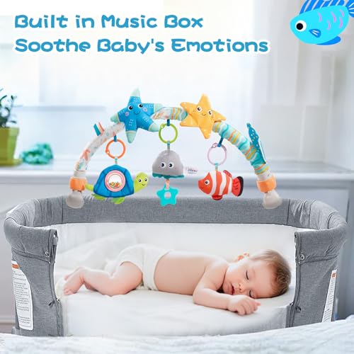 Jollybaby Starfish Musical Bassinet Bouncer Toy