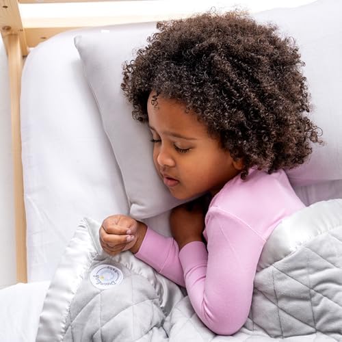 Dreamland Baby Toddler Pillow with Viscose Case