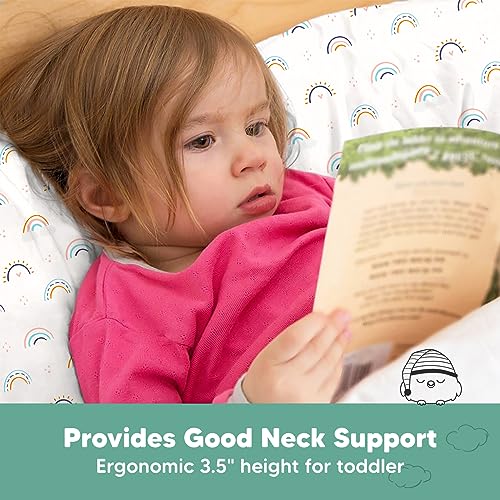 KeaBabies Jumbo Toddler Pillow with Case - Jolly Rainbow Design
