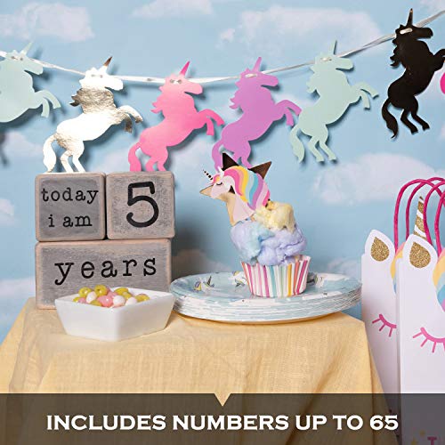 Rustic Baby Monthly Milestone Blocks Set