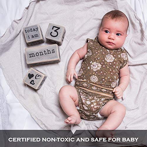 Rustic Baby Monthly Milestone Blocks Set