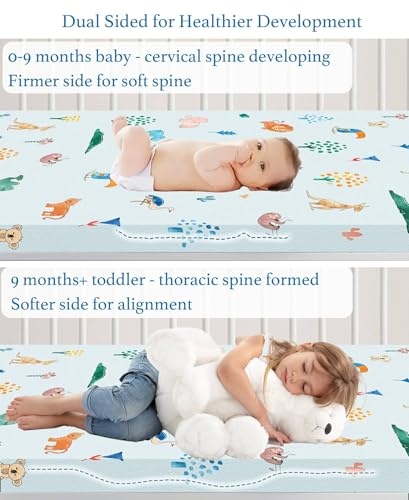 BabeRooklin Aloe Cotton Dual Sided Pack and Play Mattress Pad