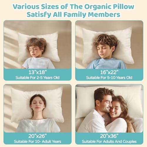 LOFE Organic Pillow with Pillowcase - 16x22 Kids Pillow