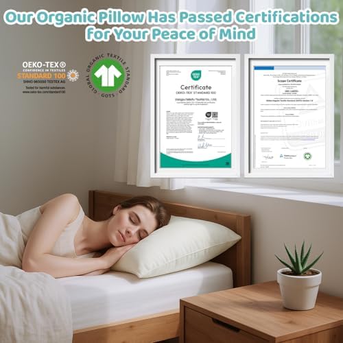 LOFE Organic Pillow with Case - 20x26 Adjustable Loft 1