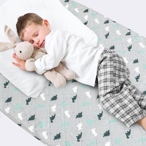 SPRINGSPIRIT Dinosaur Potty Training Pee Pads for Kids 1