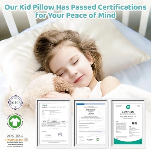 LOFE Organic Pillow with Pillowcase - 16x22 Kids Pillow