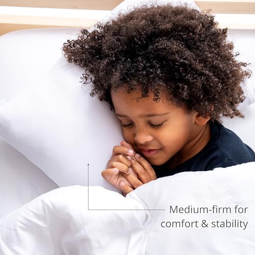 Dreamland Baby Toddler Pillow with Viscose Case