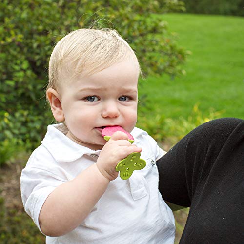 Innobaby Award Winning Teethin Smart EZ Grip Fruit Teether