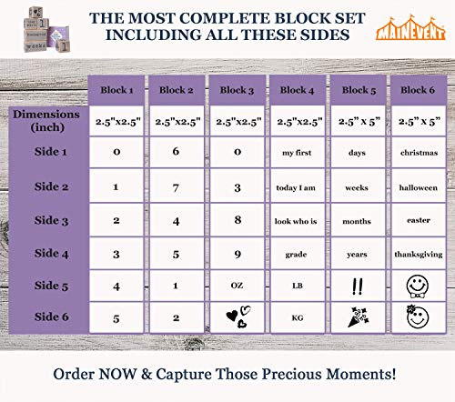 Rustic Baby Monthly Milestone Blocks Set