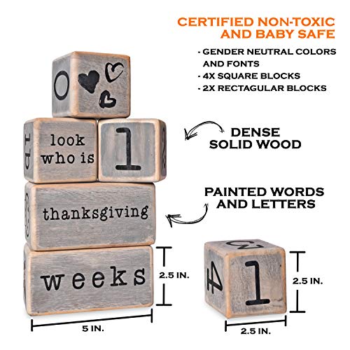Rustic Baby Monthly Milestone Blocks Set