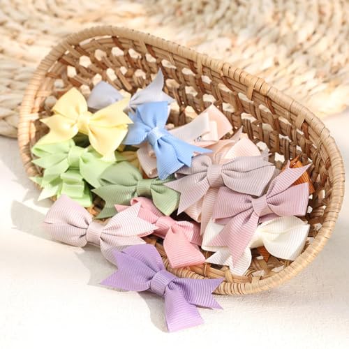24PCS Oaoleer 2 Inch Toddler Hair Clips