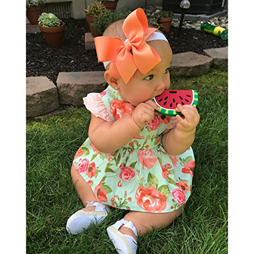 Silli Chews Watermelon Teether for Babies BPA Free